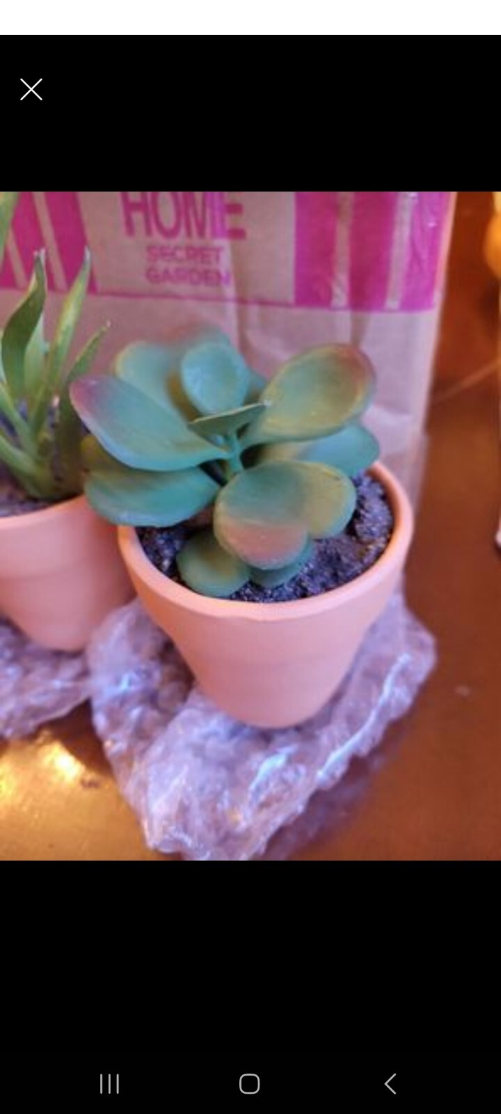 Set Of 8 Mini Faux Succulents With Terracotta Pots perfect for wedding favors