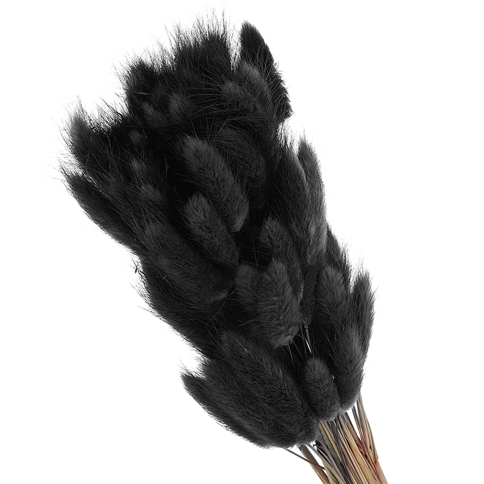 15.7in Bunny Tails Dried Flowers, 80pcs Pampas Grass Decor Rabbit Tail, Black