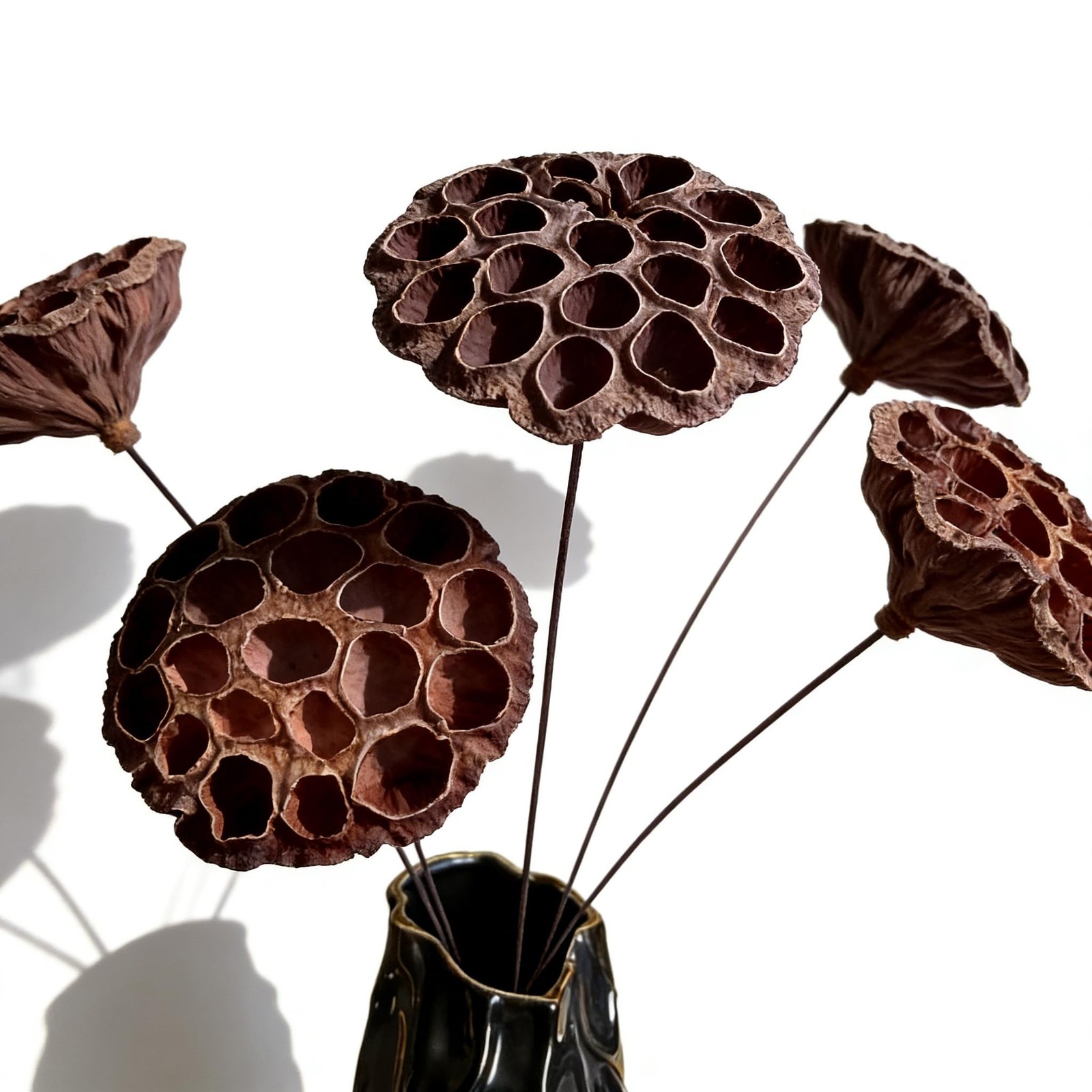 Dried Lotus Pods 5Pcs 20″ Natural Brown Stems for Vase Home Decor Wedding