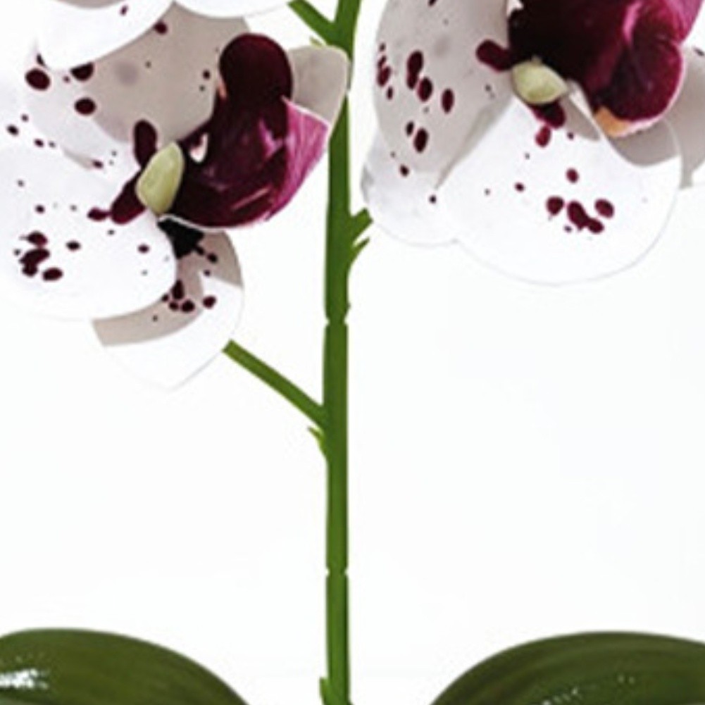 Fake Orchid Plant in Pot Plastic Fabric Materials 25x12cm for Modern Home Decor