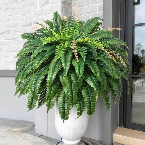 Artificial Ferns 48 Inch 128 Leaves UV Resistant Faux Boston Fern 2 Pack