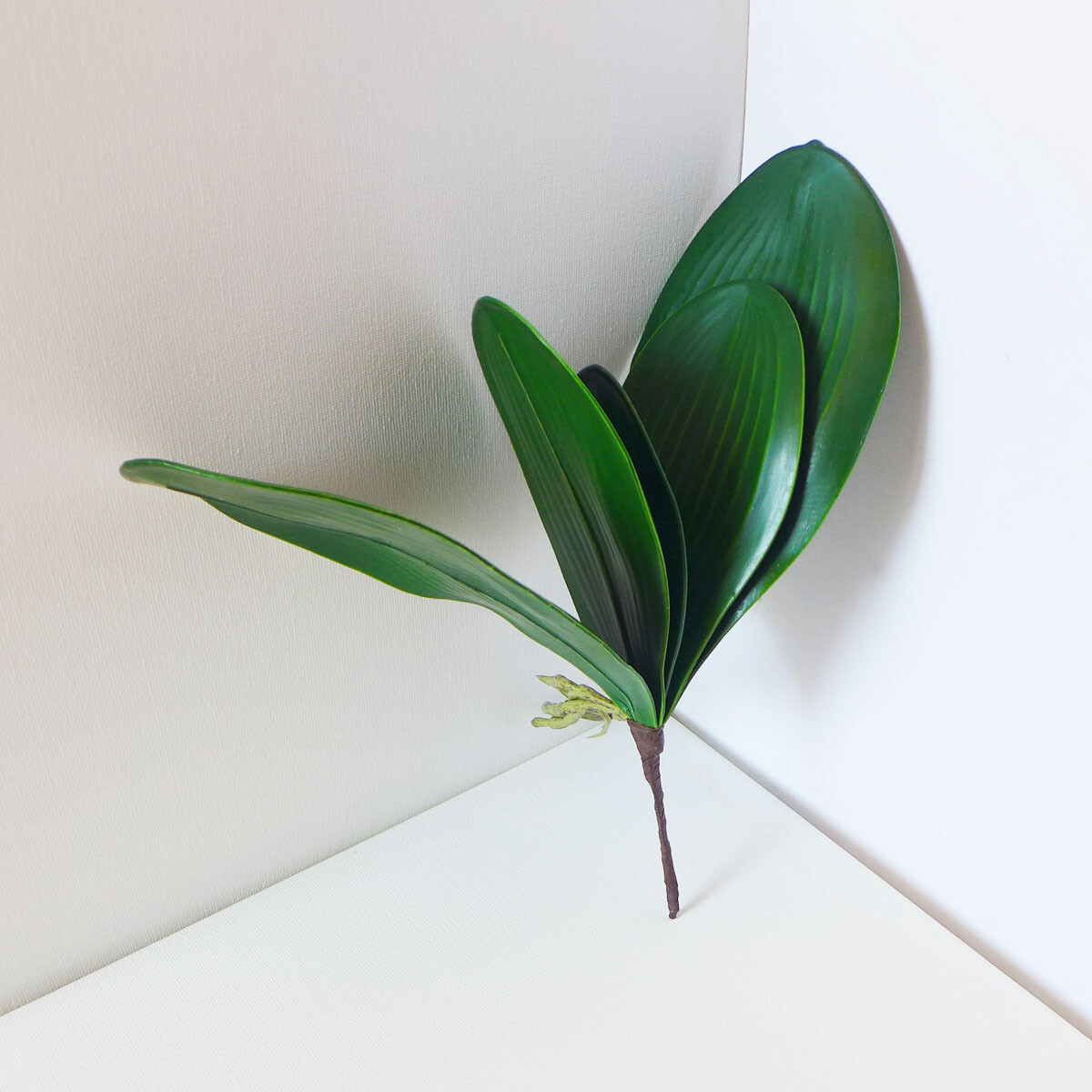 Butterfly Orchid Leaf Bush Grasses Set of 2 Pcs Orchid Flower Decoration