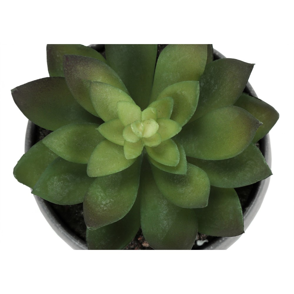 3Pcs 6in Faux Succulent Plants Grey Cement Pots Table Indoor Home Decor