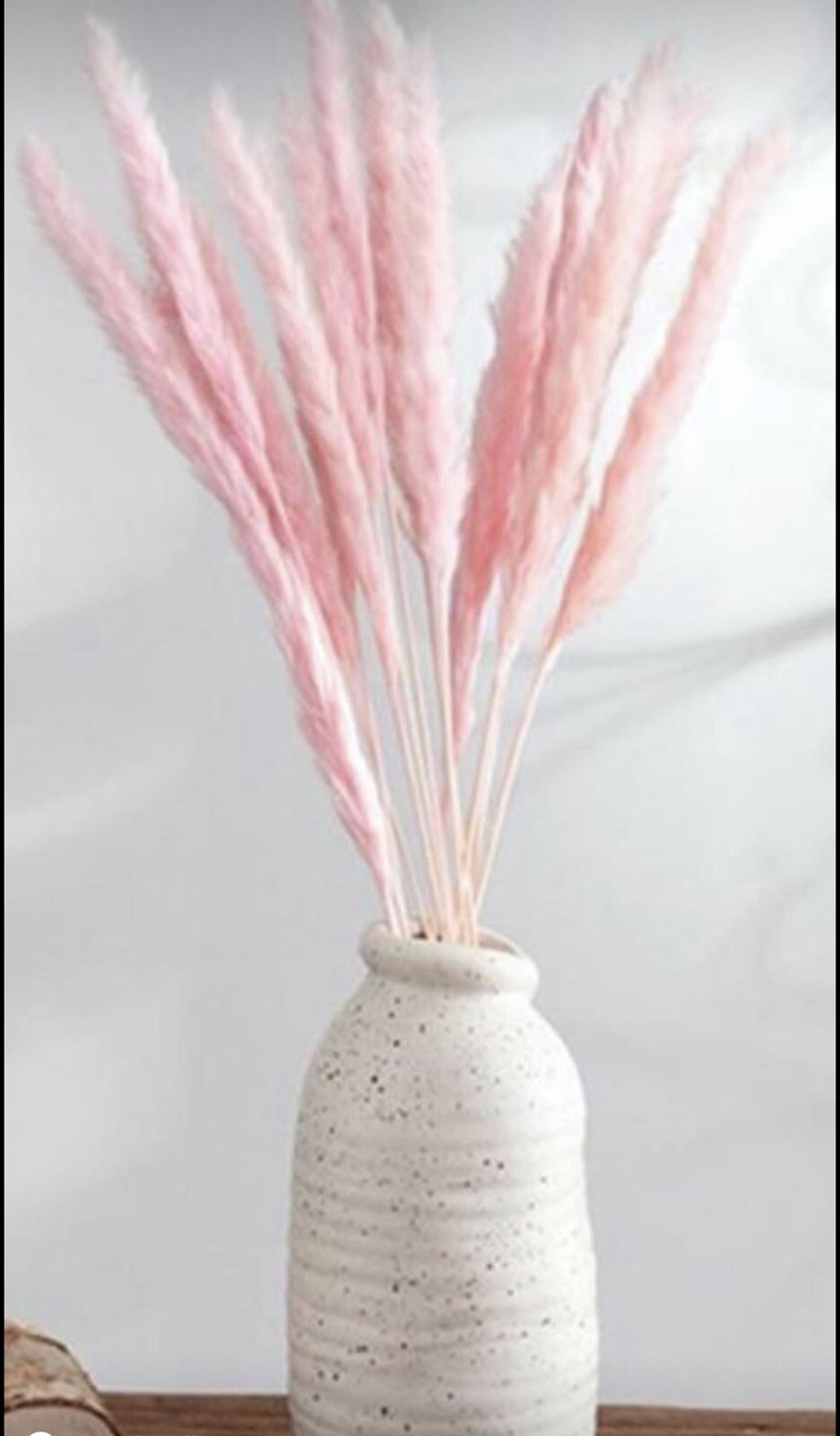 15PCS Natural Dried Pampas Grass 24 In. Reed Flower Wedding Bouquet Home Decors