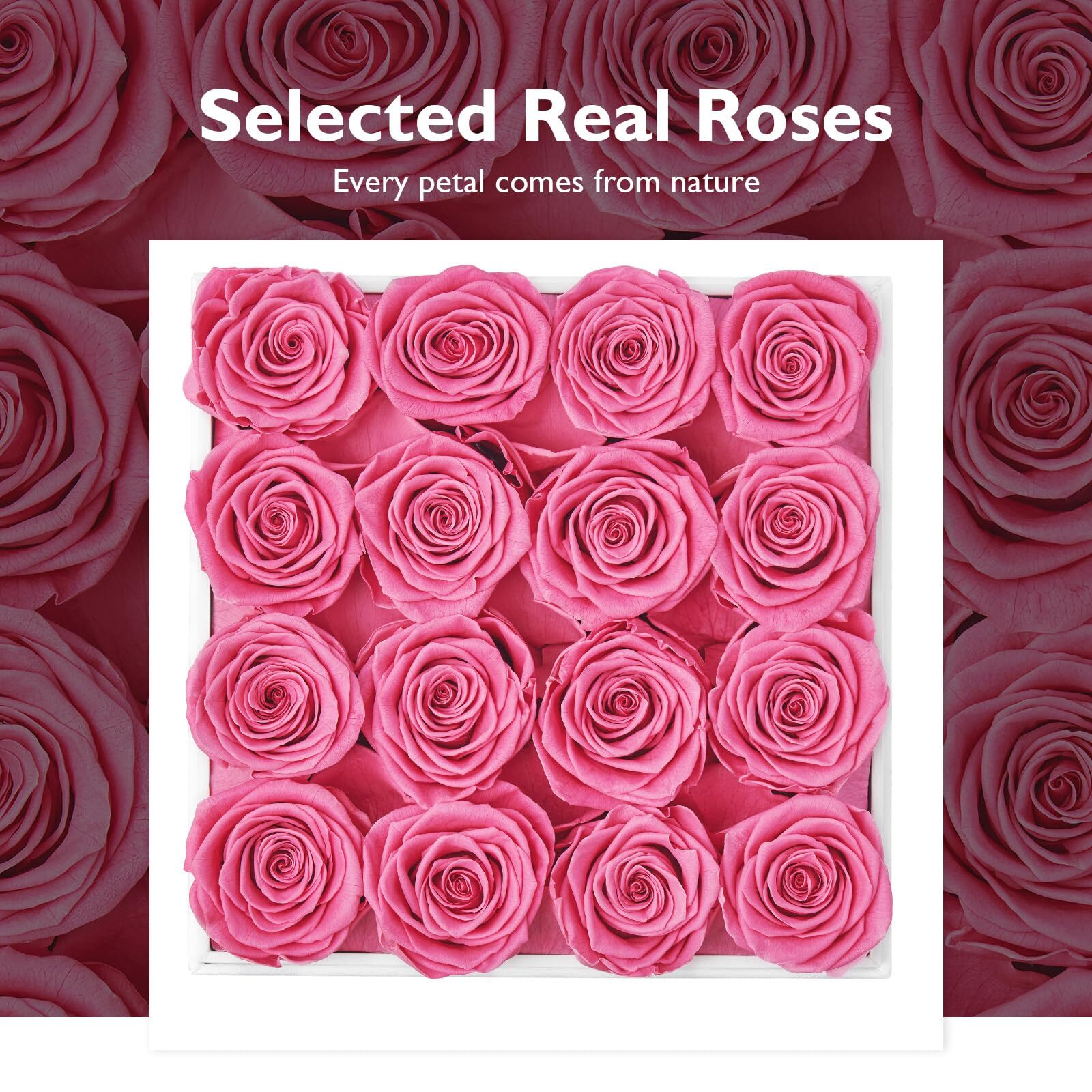 Forever Flowers Preserved Flowers for Delivery Real Roses That Last Over a Ye…