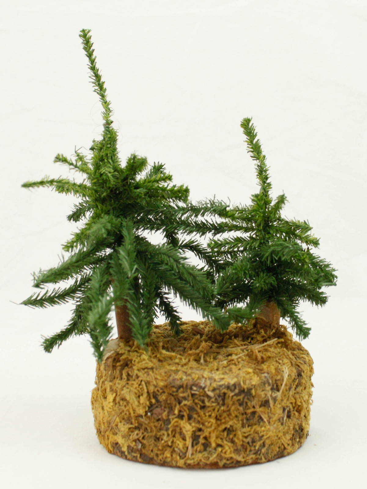 Two Small Pine Trees Tabletop Shelf Nature Decoration Moss Base