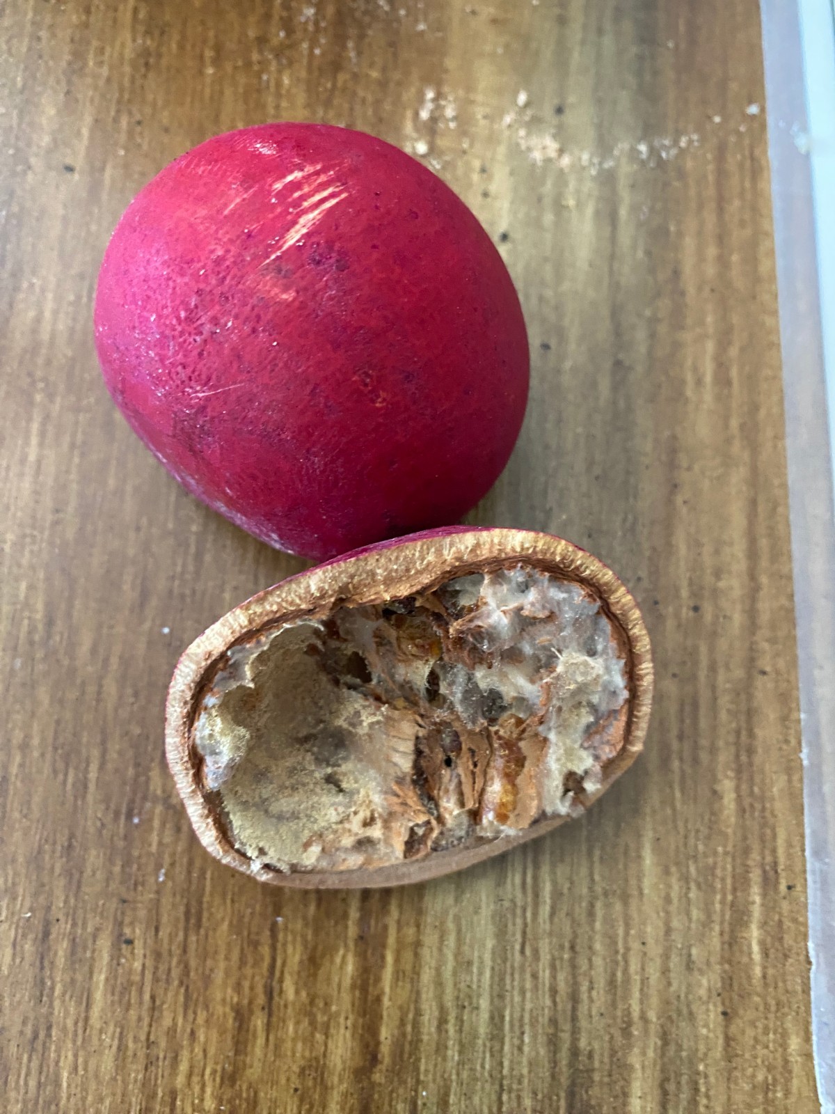 Pods -Dough Bowl Vase Filler Bengal Quince-Wood Apple Potpourri 5 Red Dyed Fruit