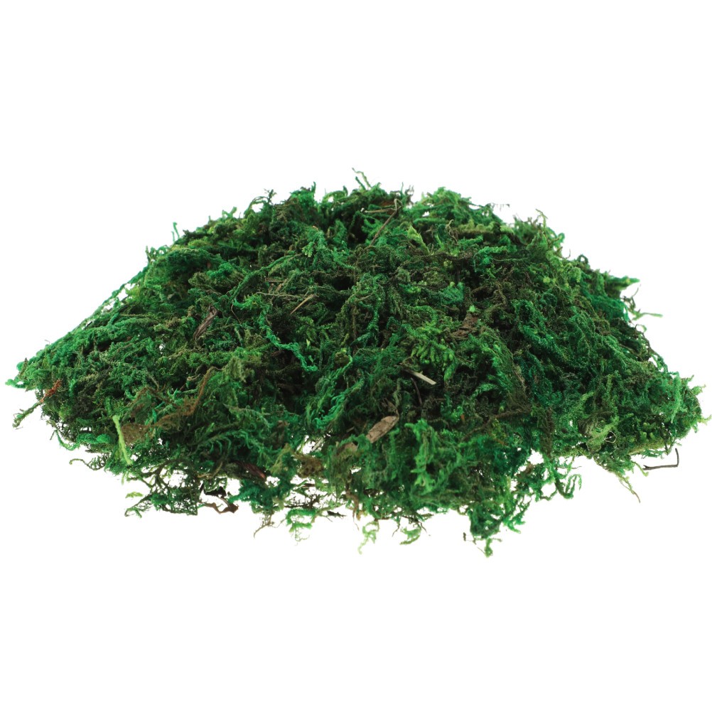 Green Moss Plant Crafts Decorative for Bonsai Artificial Crafting