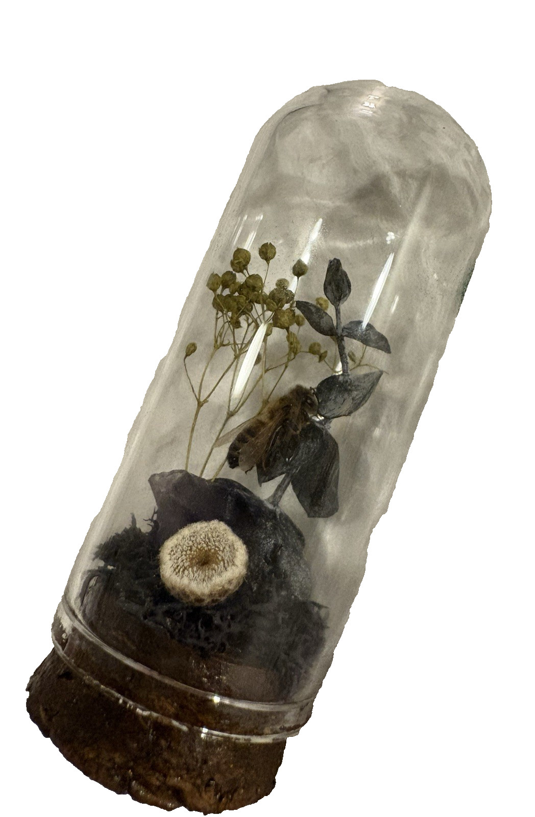 Taxidermy Bee and Flowers In Glass Dome with Cork Base Home Decor