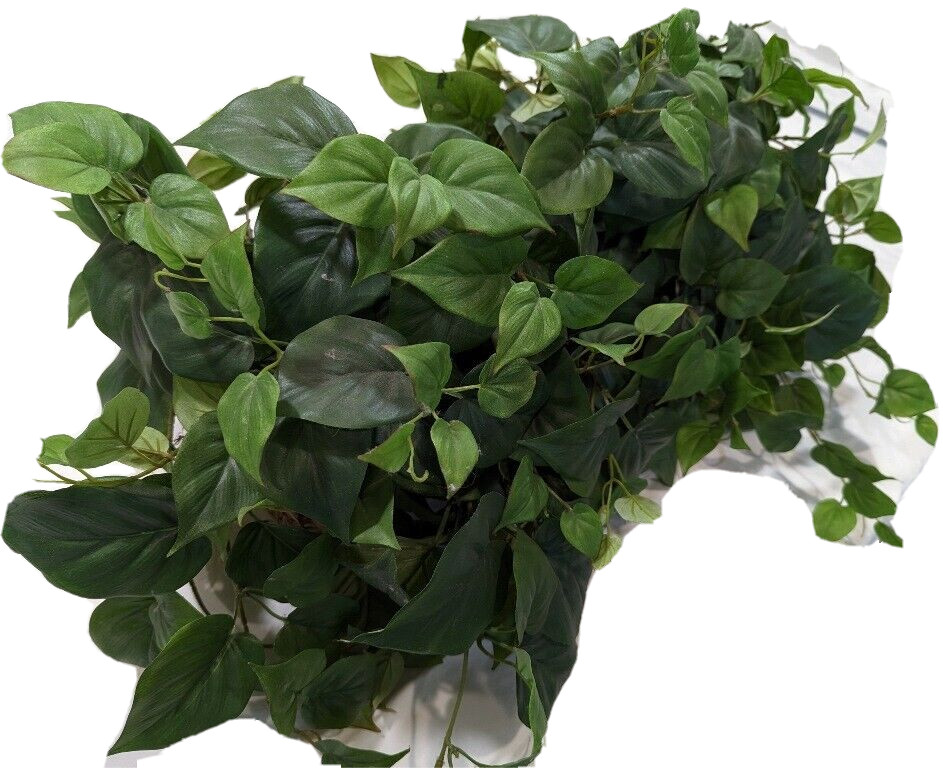 Indoor 19in. artificial green ficus ledge silk plant in basket