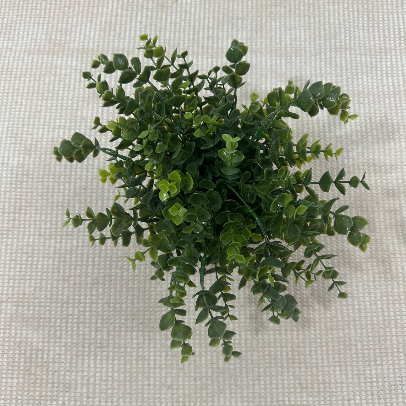 Artificial Eucalyptus Potted Plant Faux Greenery in Grey Textured Cement Pot