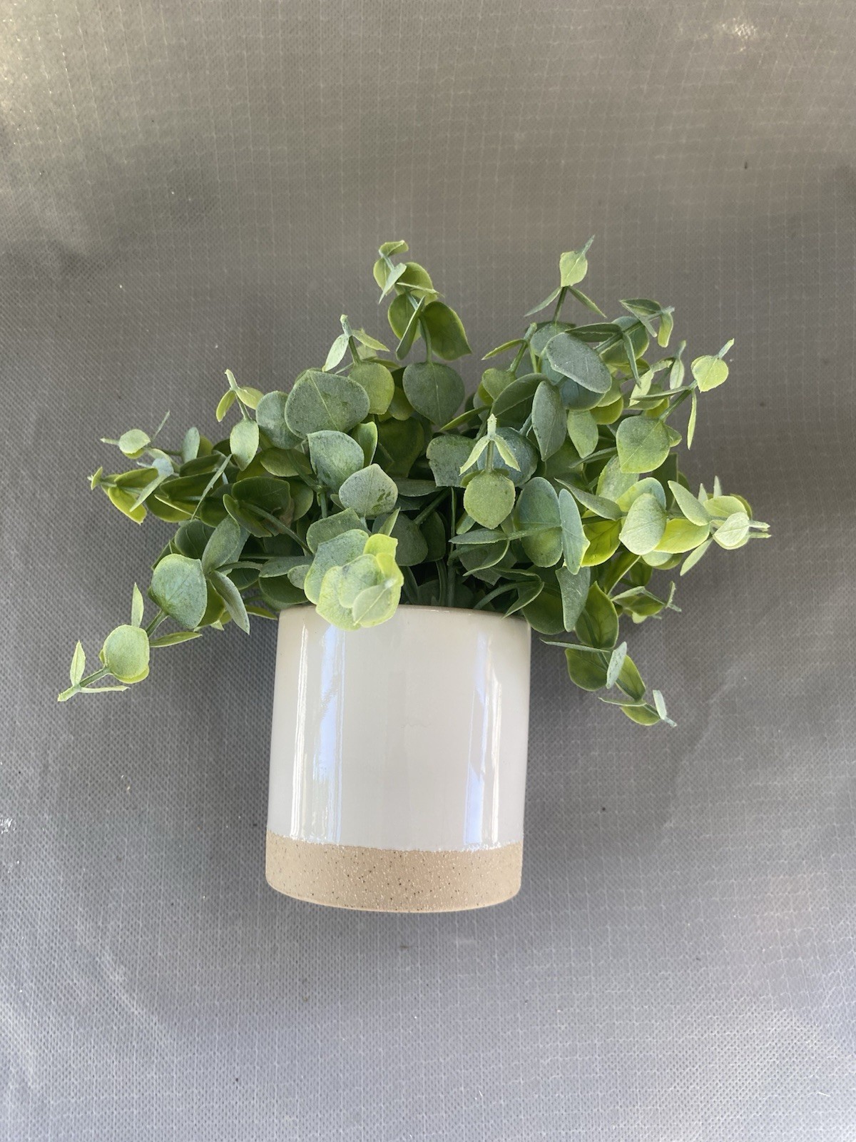 Artificial Eucalyptus Potted Plant, Green Leaf Foliage, White Beige Pot