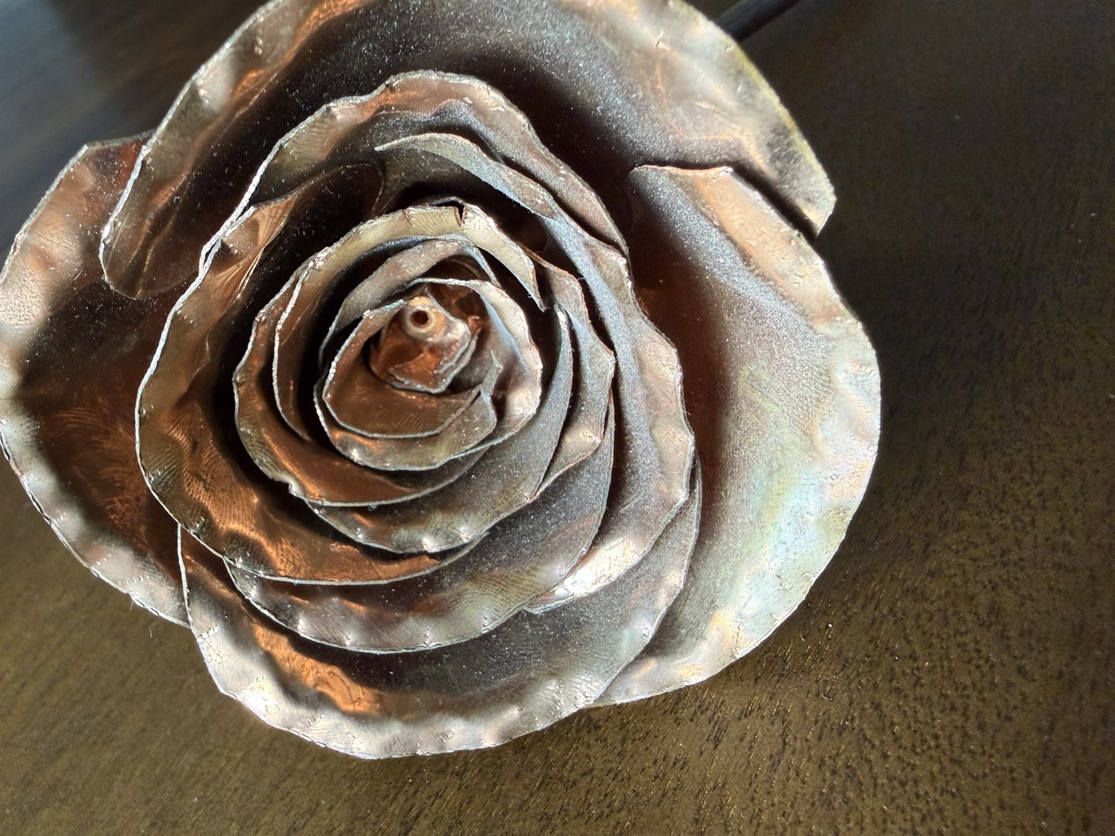 Roses Copper 1/2 Dozen Forever Roses On Stem In Container 🌹