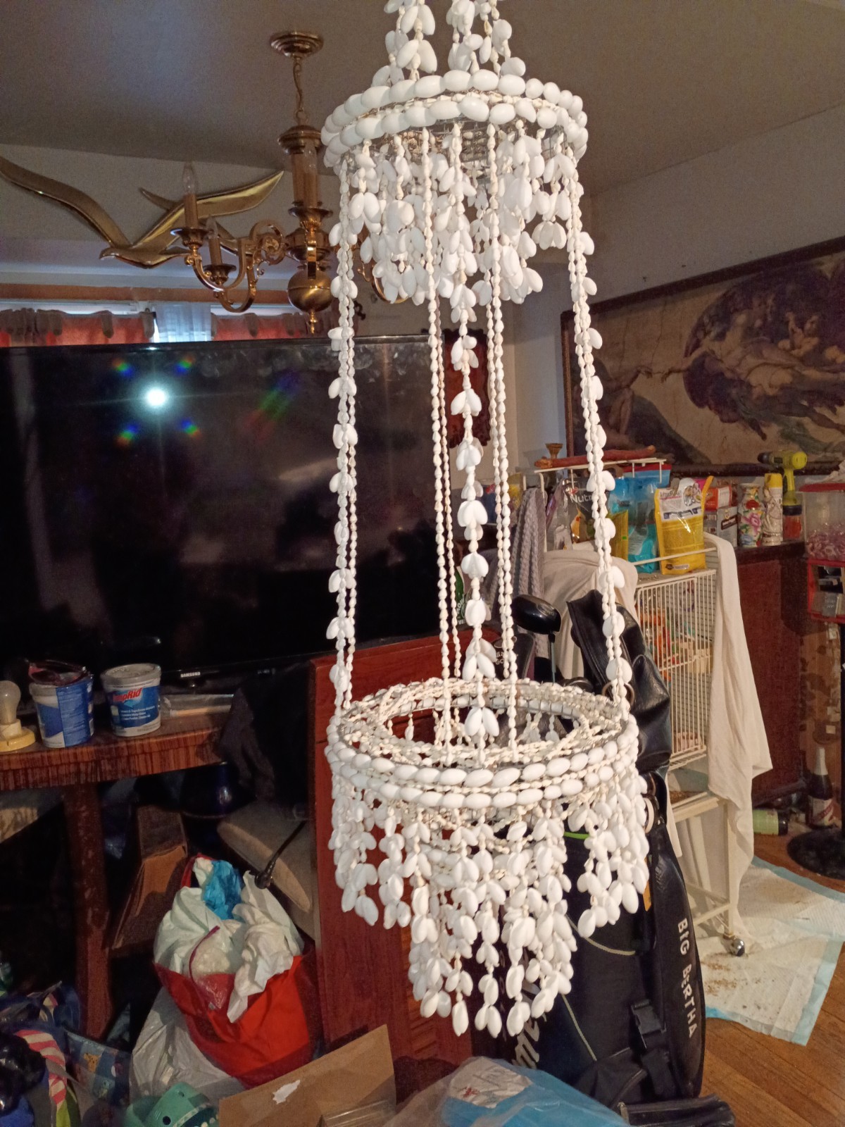 Seashell Plant Holdes White Ivory Color Pretty For Homes
