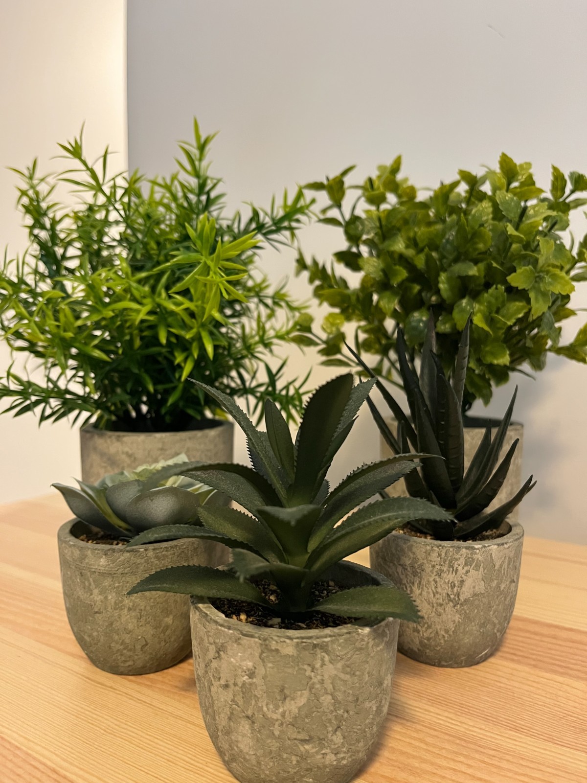 Memeaty Set of 5 Small Artificial Plants | Fake Rosemary Peppermint Succulents