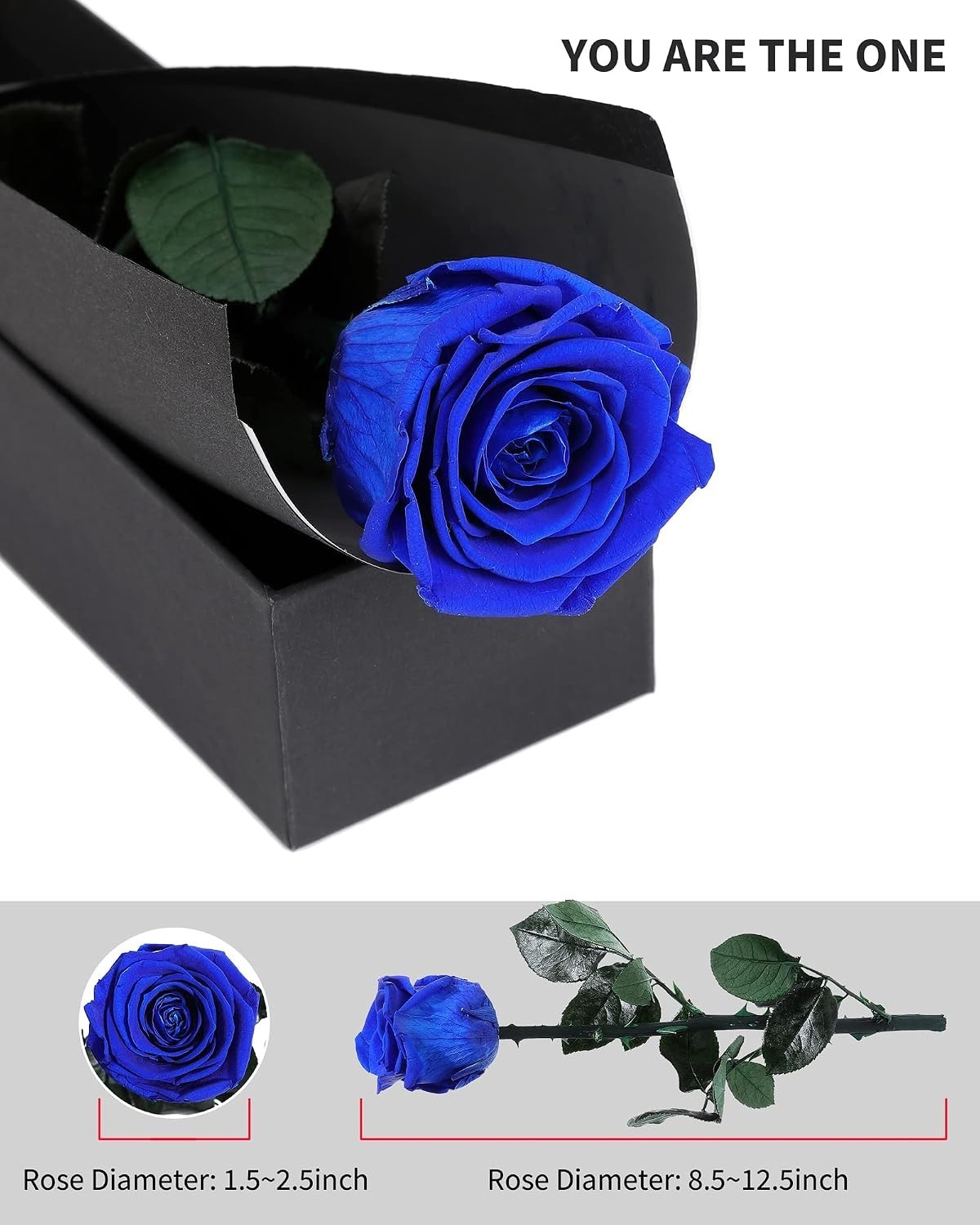 Elegant Preserved Blue Roses – Perfect Birthday & Anniversary Gift for Women