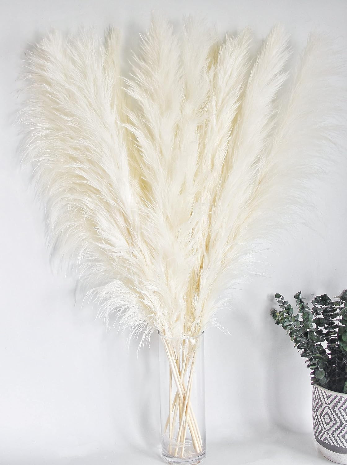 10 Stems 46″ Inch White Pampas Grass Decor Tall, Large Pompas Grass, Boho Neutra