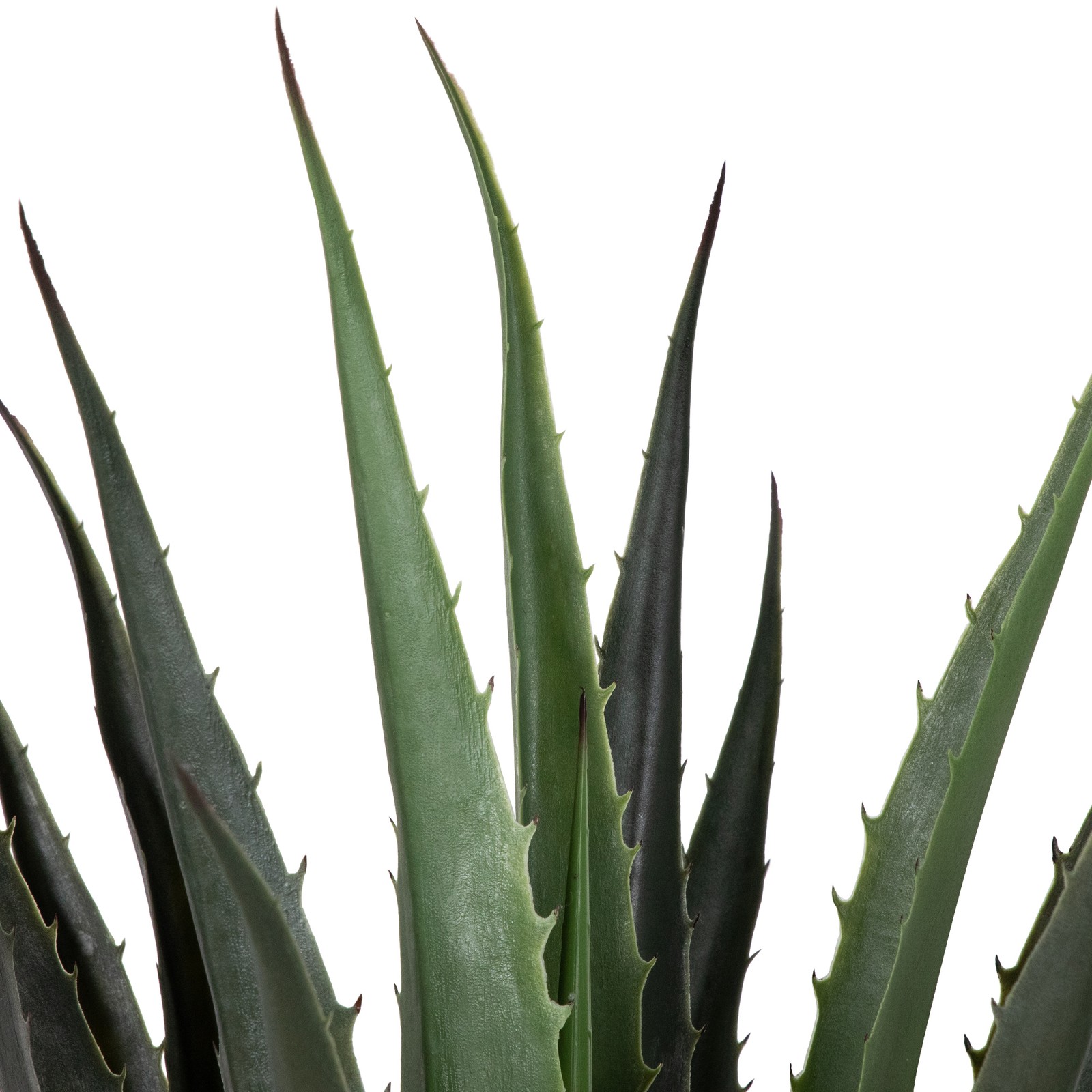 Northlight 31.5″ Potted Green Artificial Aloe Succulent Plant