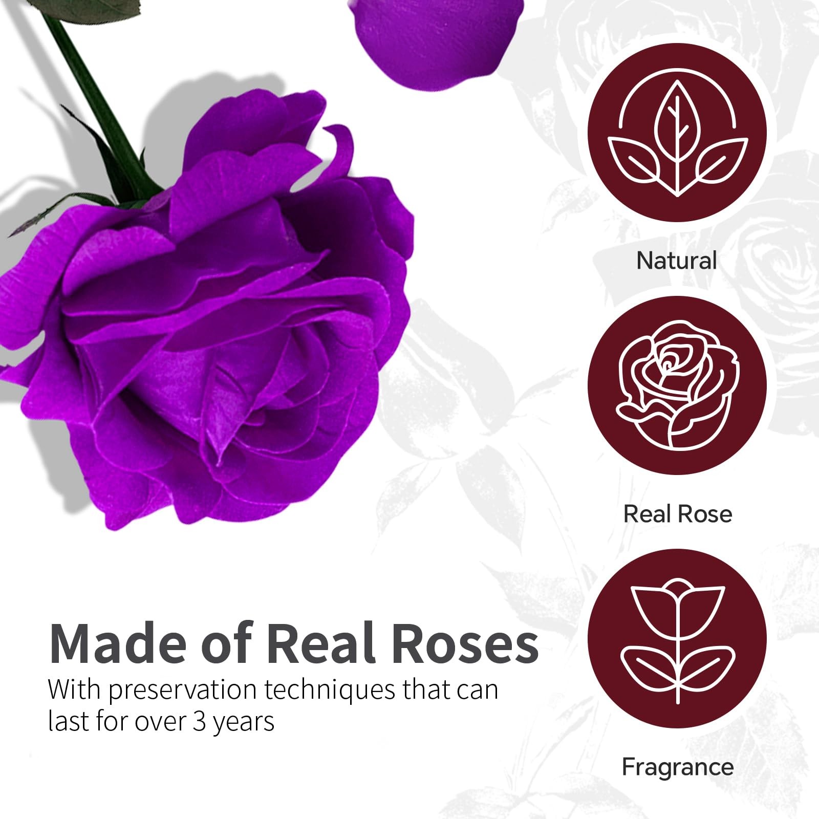 Cyrabota 16 Preserved Real Roses in Heart Shape Box, Forever Flowers Gift for…