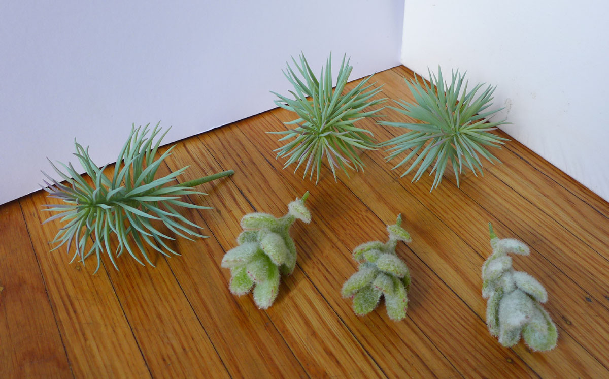 6 Artificial Succulents (3 Mini Gray Pine tree 3 Flocking Grass)
