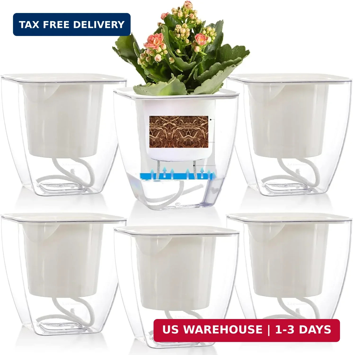 6 Pack Plastic Self Watering Pots, 4 Inch Clear African Violet Pots for Indoor P