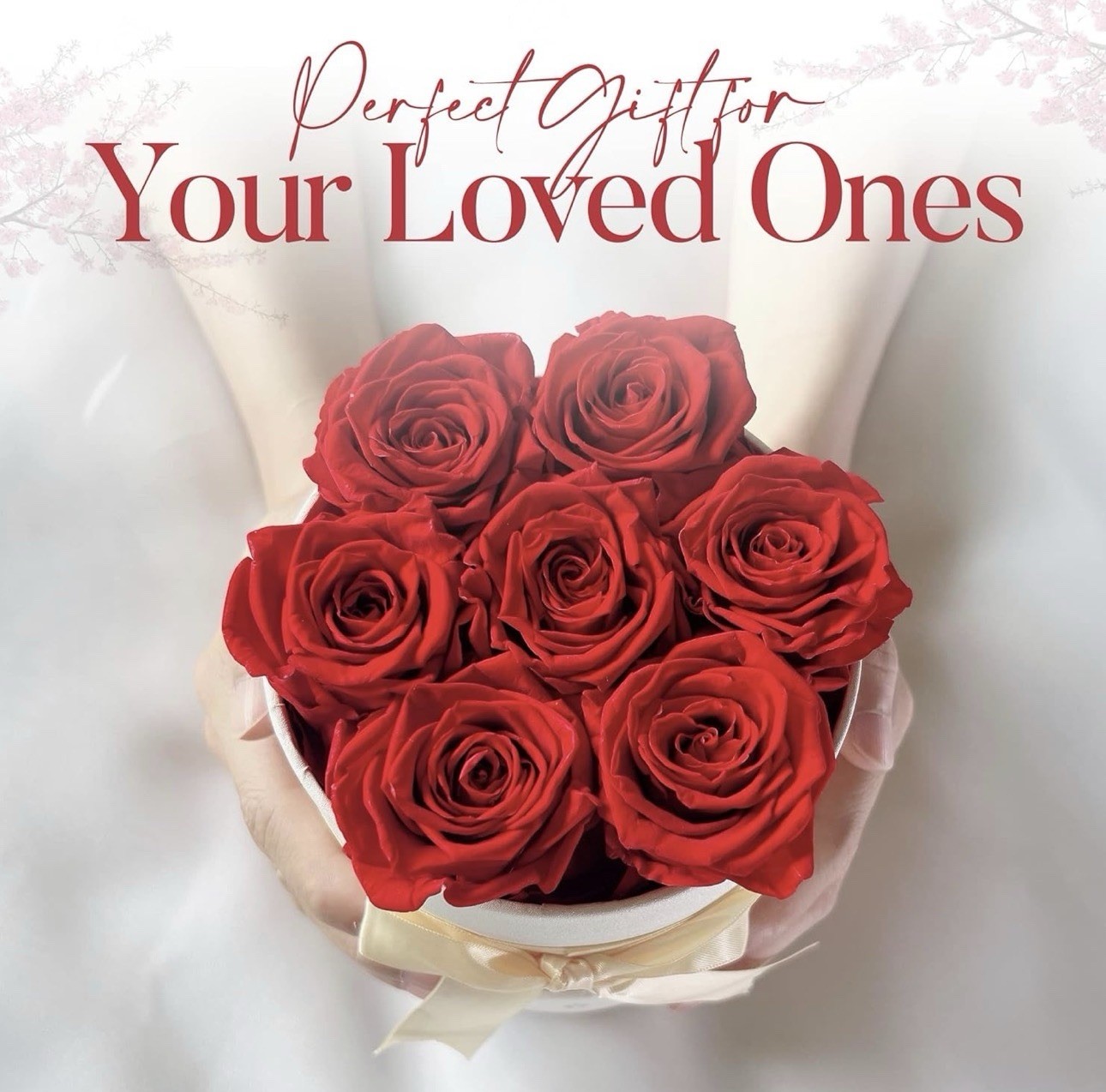 AROMEO Red Roses A Gift That Lasts Preserved Fresh Flowers