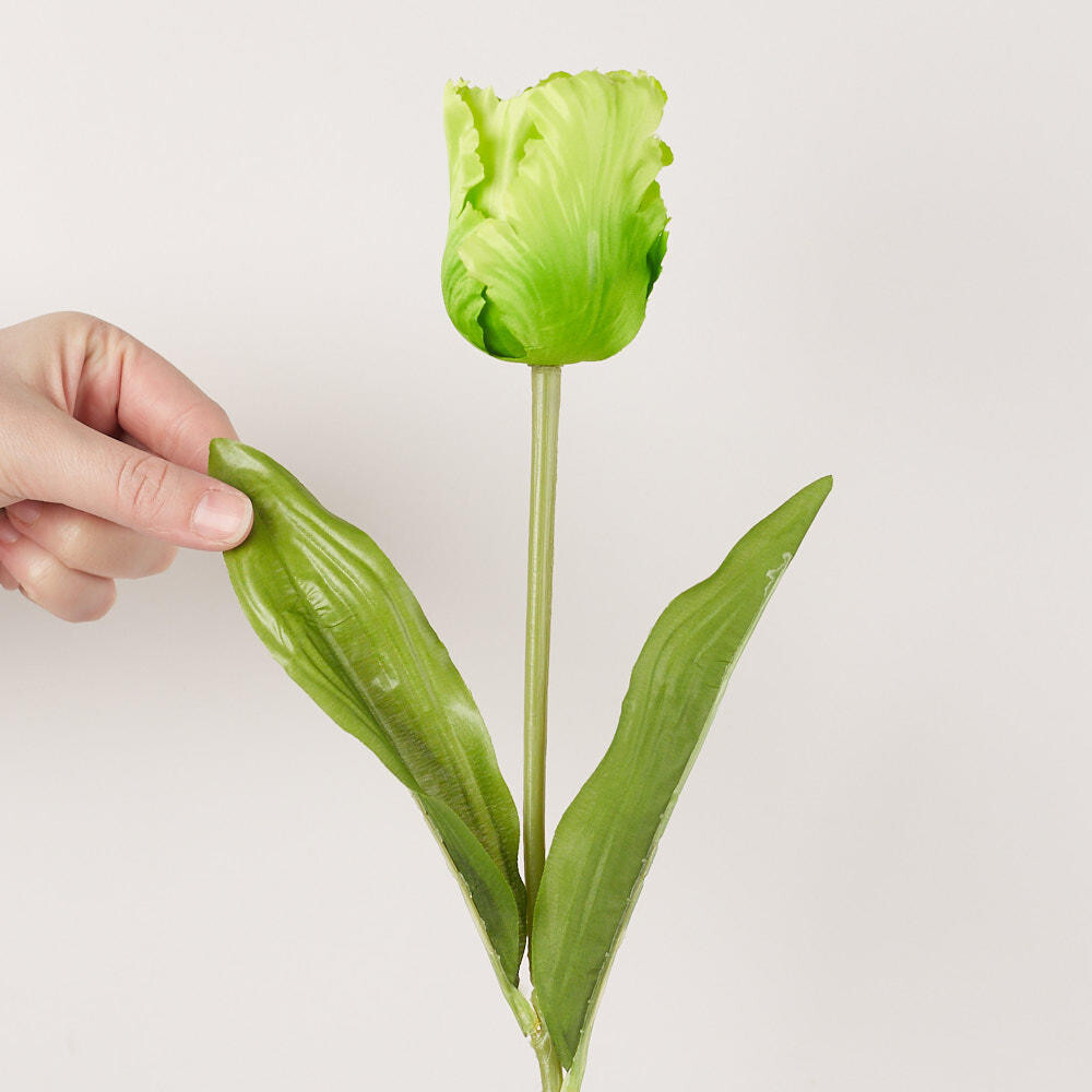 Package of 6 Realistic Spring Faux Light Green Parrot Tulip Stems