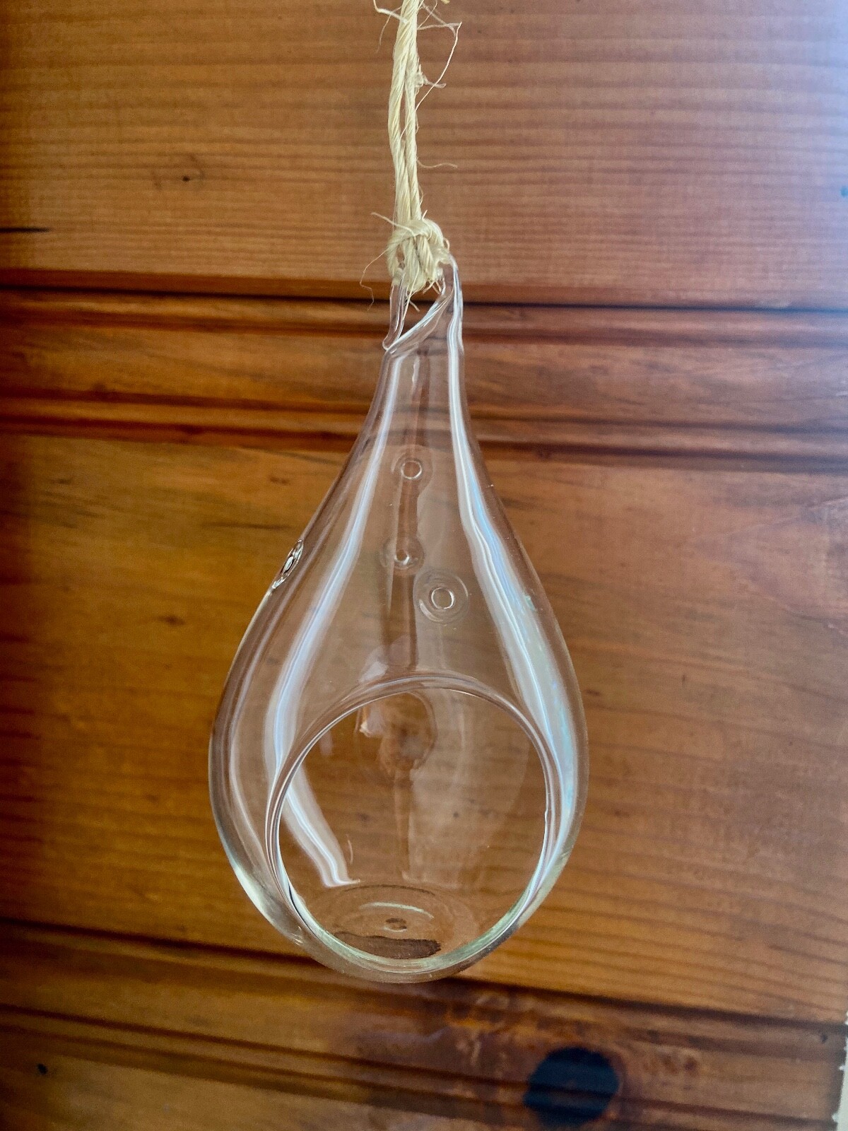 Glass Airplant Plant Terrarium Vessel Clear Teardrop Container Rustic Jute NEW!