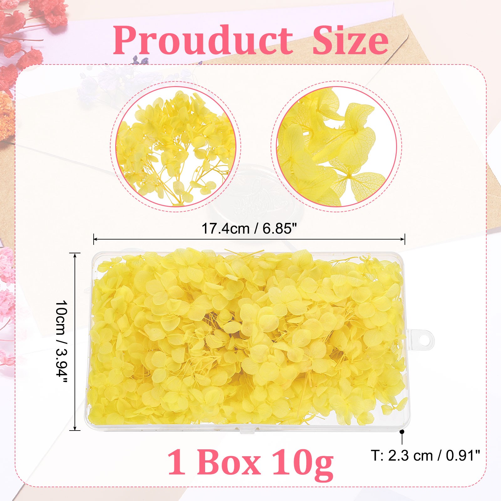 10g Mini Dried Hydrangea Flower Natural Pressed Flower Real Hydrangeas Yellow