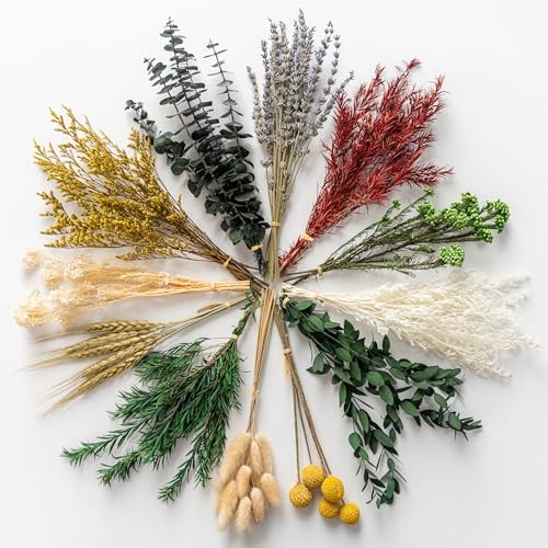 12 Kind Dried Flowers Set Natural Floral Bouquet for DIY Crafts Wedding Home Dec