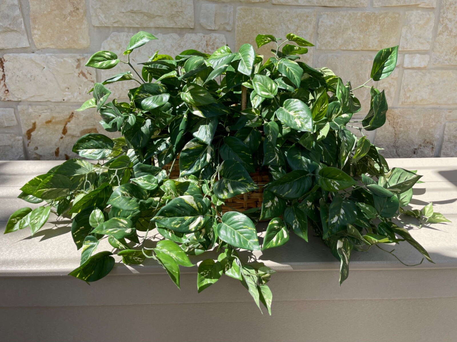 Large Artificial Variegated Philodendron in Handled Woven Bamboo Basket