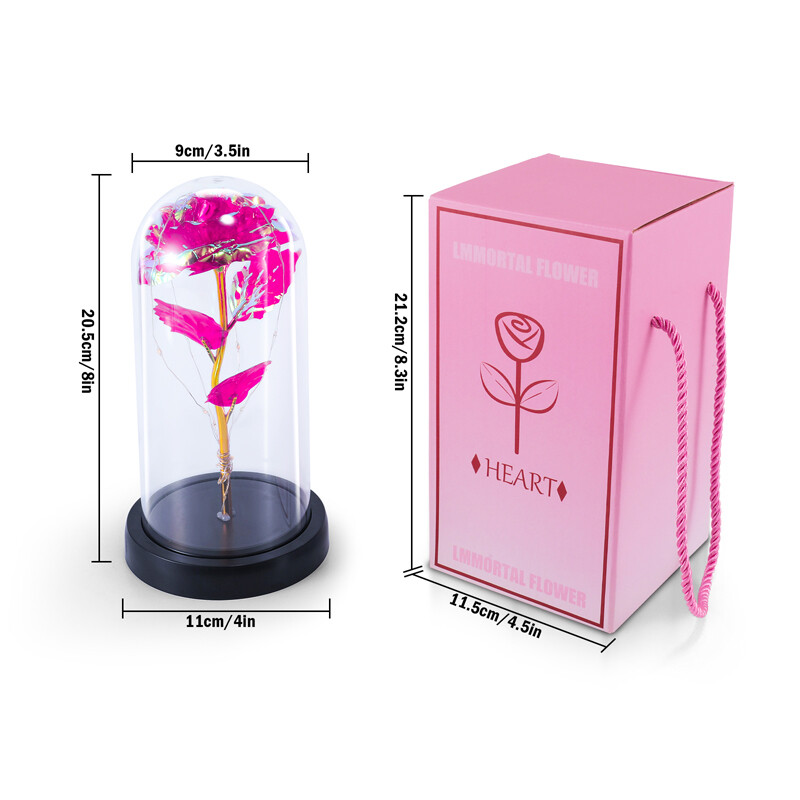Crystal Galaxy Rose Flower Glass Dome 20 LED Lights Gift for Girlfriend Mom Wife