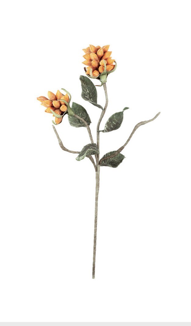 KALALOU CSL2548 BOTANICA #2548 Qty 6