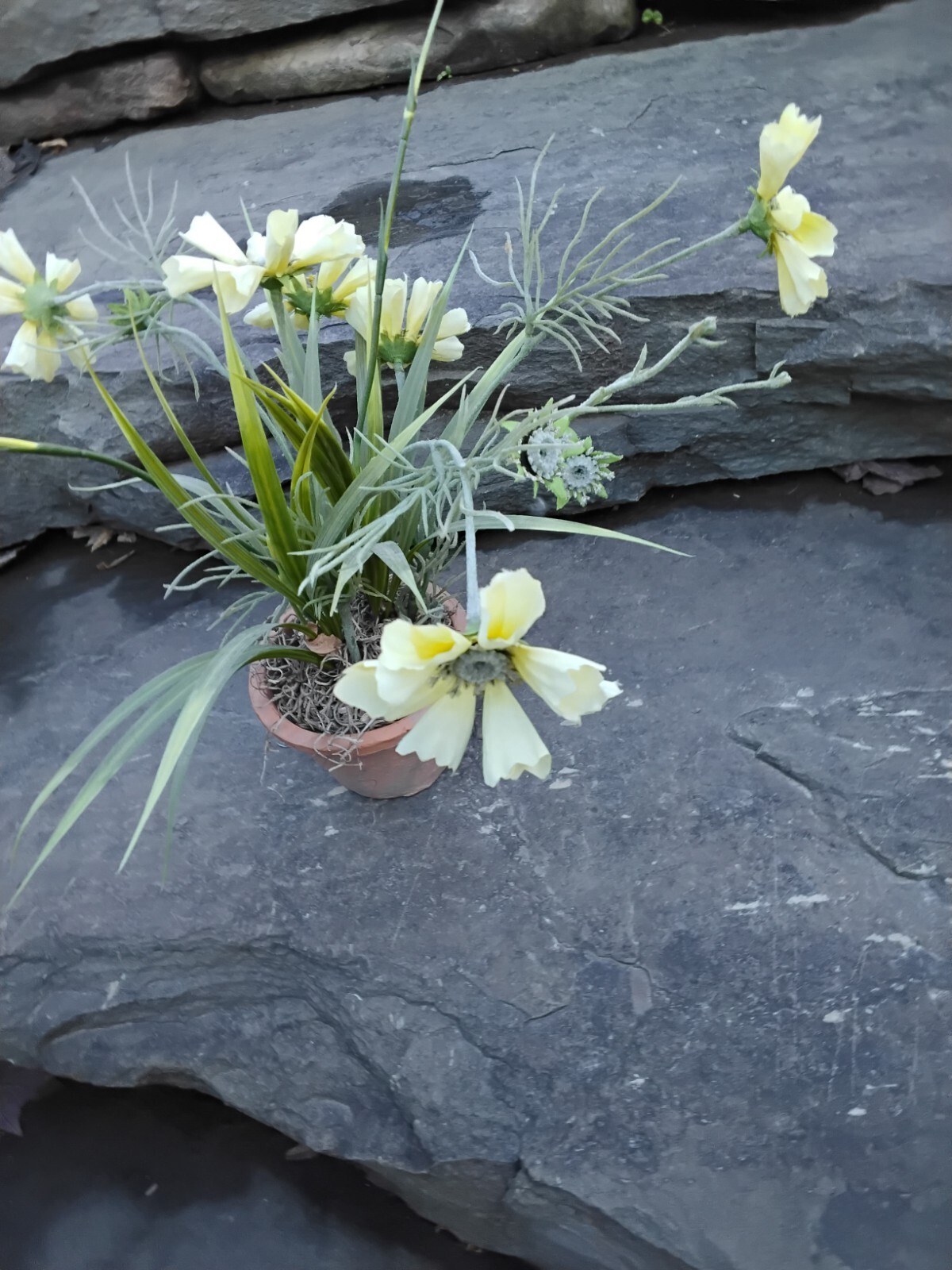Faux Yellow Spring Flower Plant in Terra Cotta Pot, Daisy, Toplis