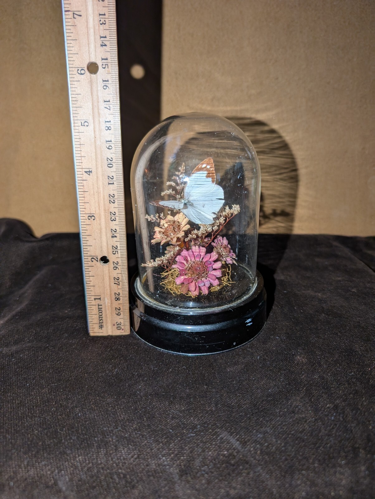 Vintage Glass Dome Butterfly and Flower Arrangement 5in Tall