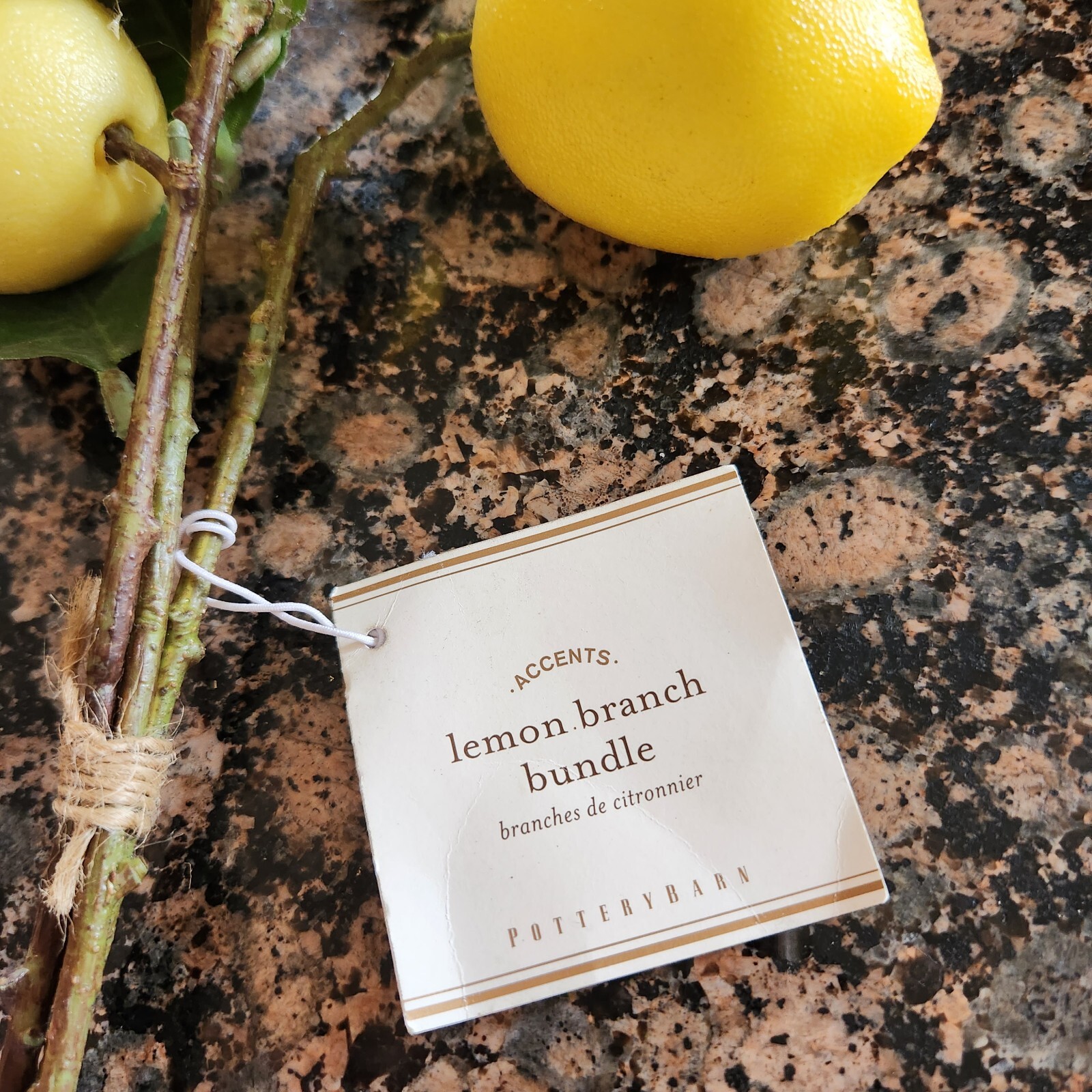 RARE NEW Pottery Barn Faux Lemon Pick Stems Leaves bundle