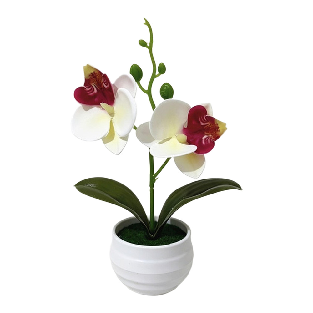 Faux 2-Head Orchid in Striped Pot 6.9 in Tall Realistic Plastic Flower