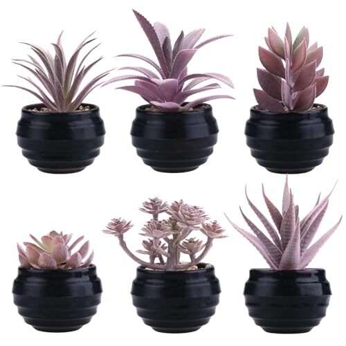 Set of 6 Fake Succulent Plants in Black Pot Artificial Pink Purple-black Pot