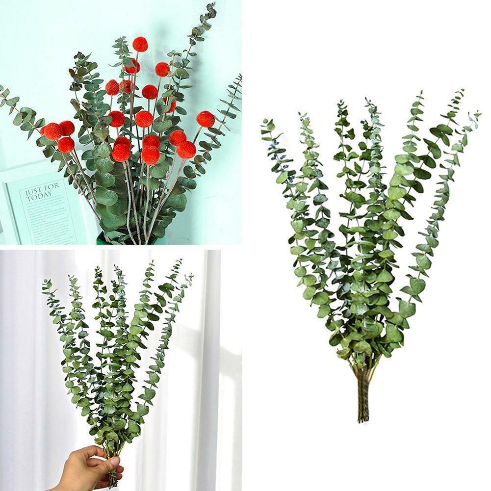 10pcs Natural Dried Flower Eucalyptus Branches Leaves Home Decors Bouquet