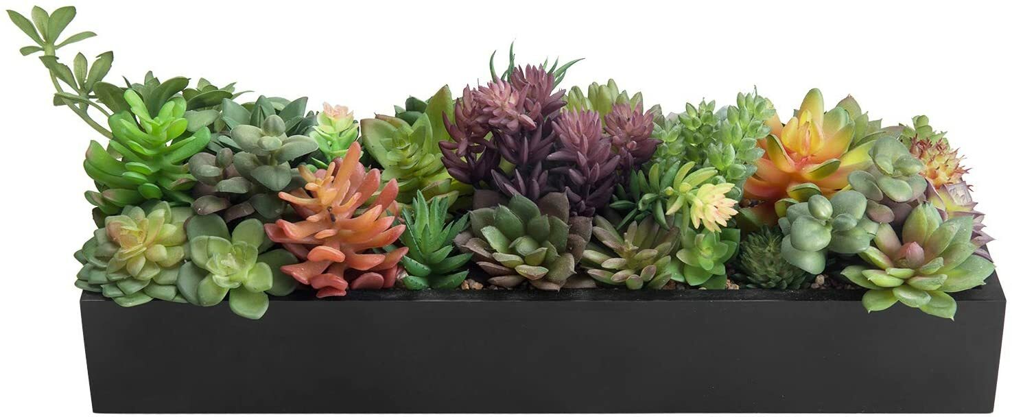 15.75-in Decorative Artificial Succulent Plants in Sleek Black MDF Wood Planter
