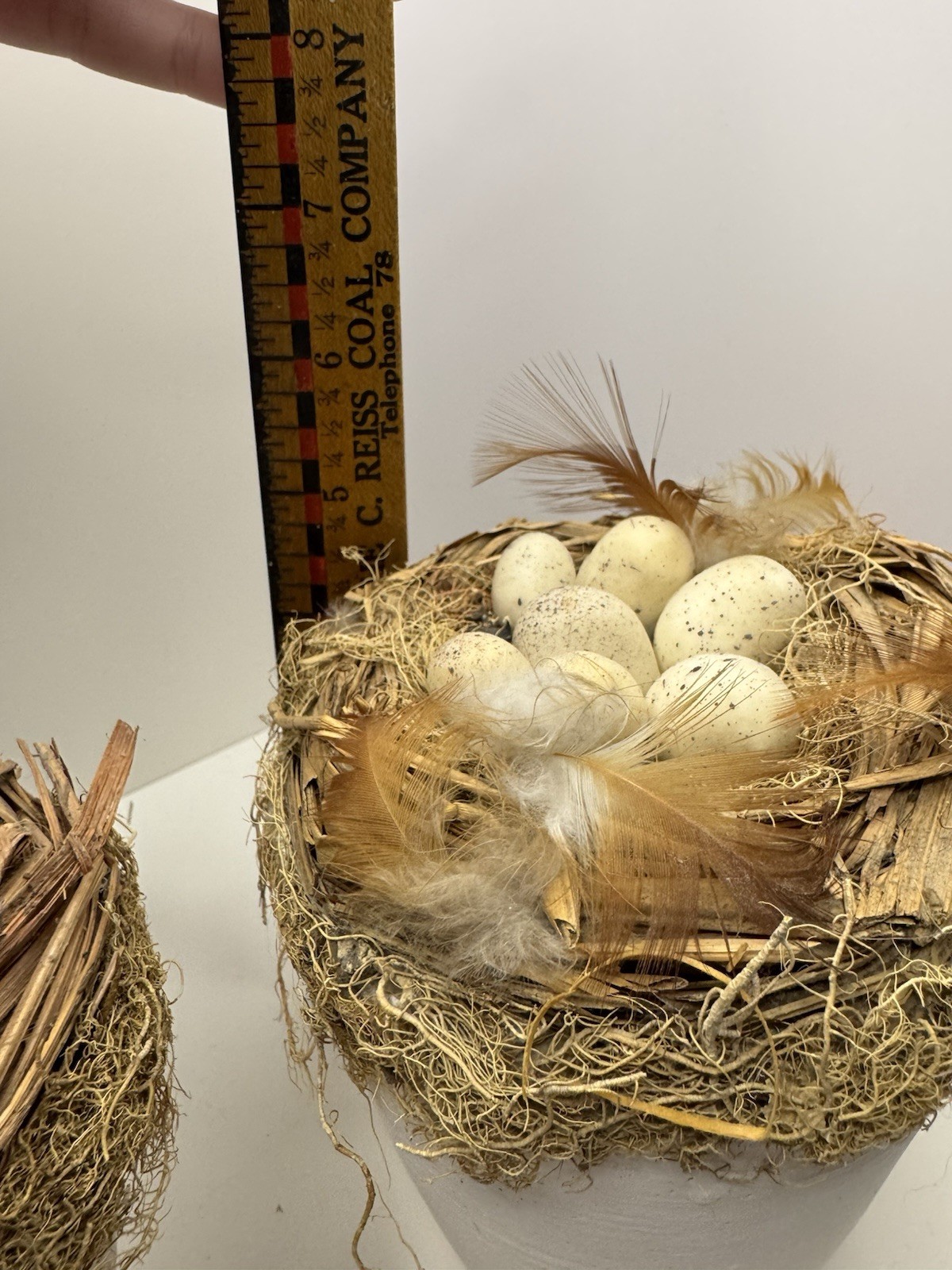 Artificial Bird Nest Planter with Faux Eggs, Feathers, White Base, Spring Decor