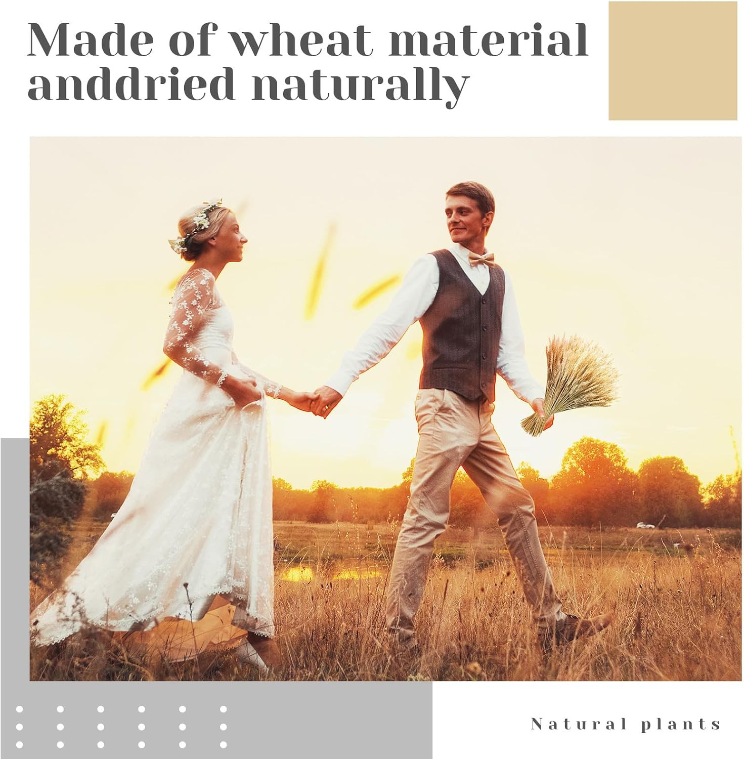 1600 Stems Dried Wheat Stalks for Decor Natural Wheat Grass Sheaves Bundle Farmh
