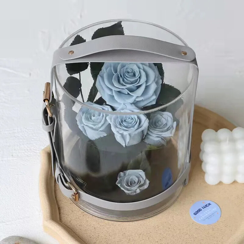 Eternal Red Rose in Secret Garden Acrylic Box – Preserved Flower Gift