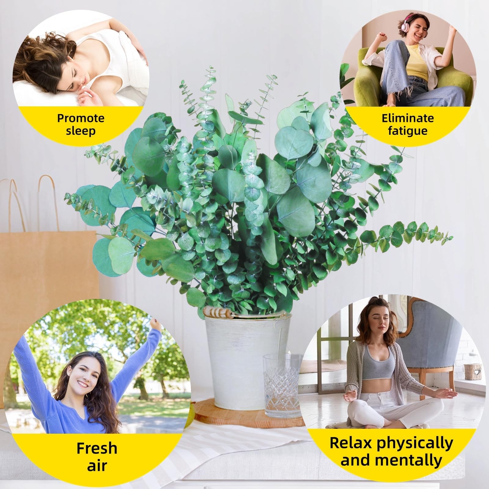 32 Pcs Large Dried Eucalyptus & Silver Dollar Leaves Bundle – 100% Natural Re…