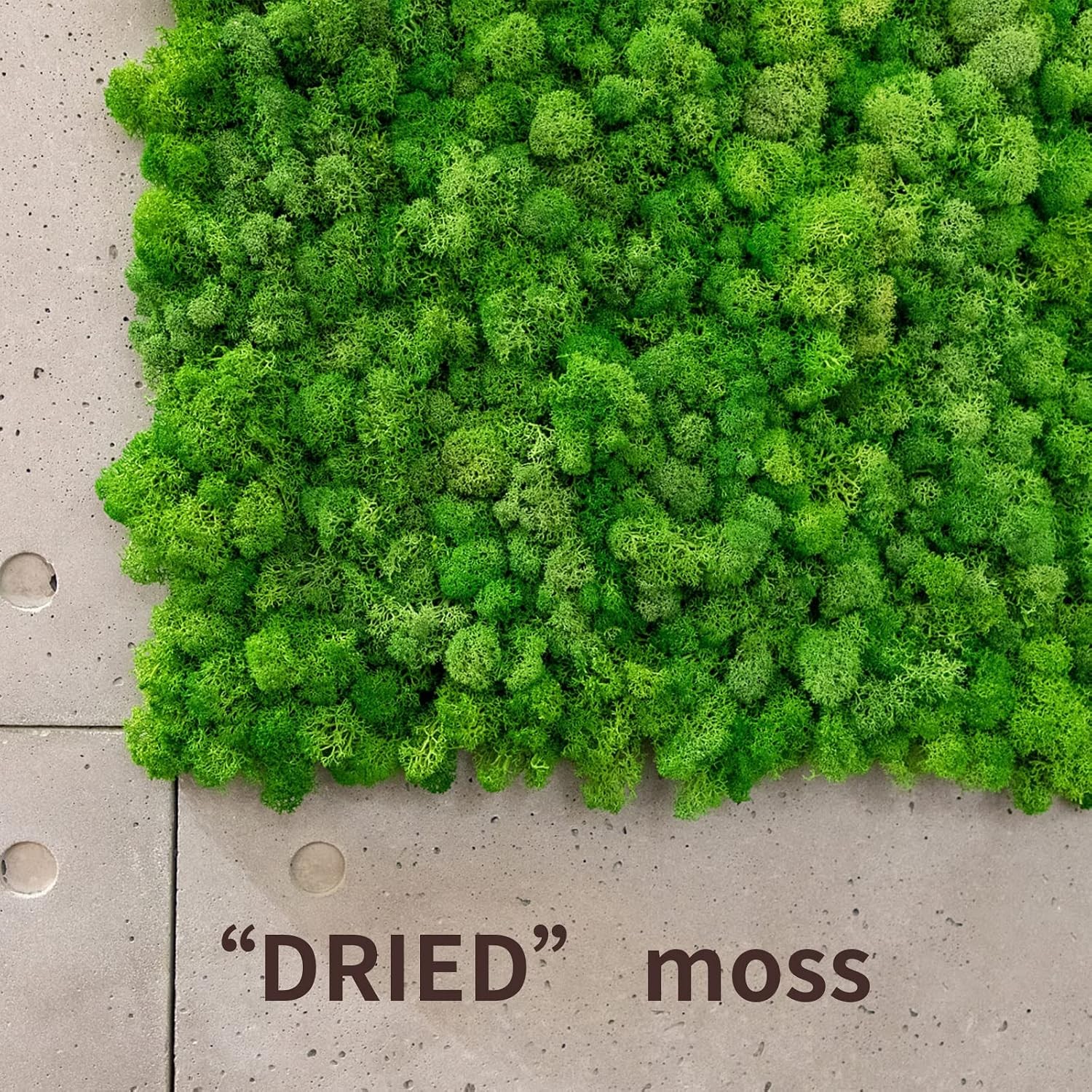 Preserved Moss 4 Color Reindeer Craft Decorations 14 OZ Green Artificial Moss