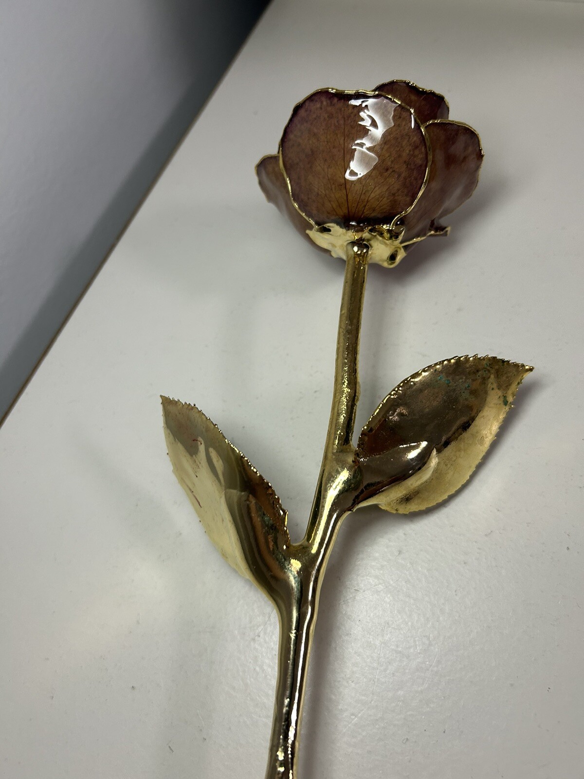 Luxury Lacquered Cream Eternal Pink Rose with Gold Trim