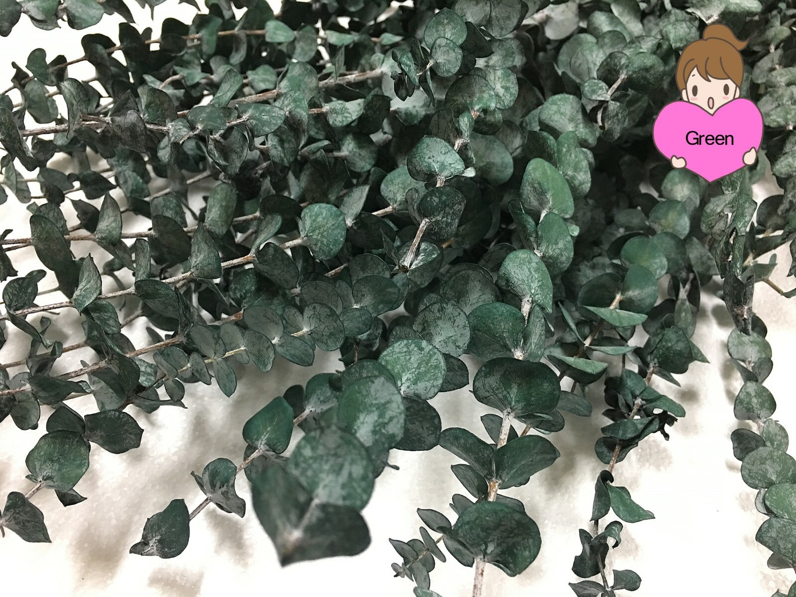 California Grown Dried Baby Eucalyptus Branches 8 oz or 16 oz Many Colors