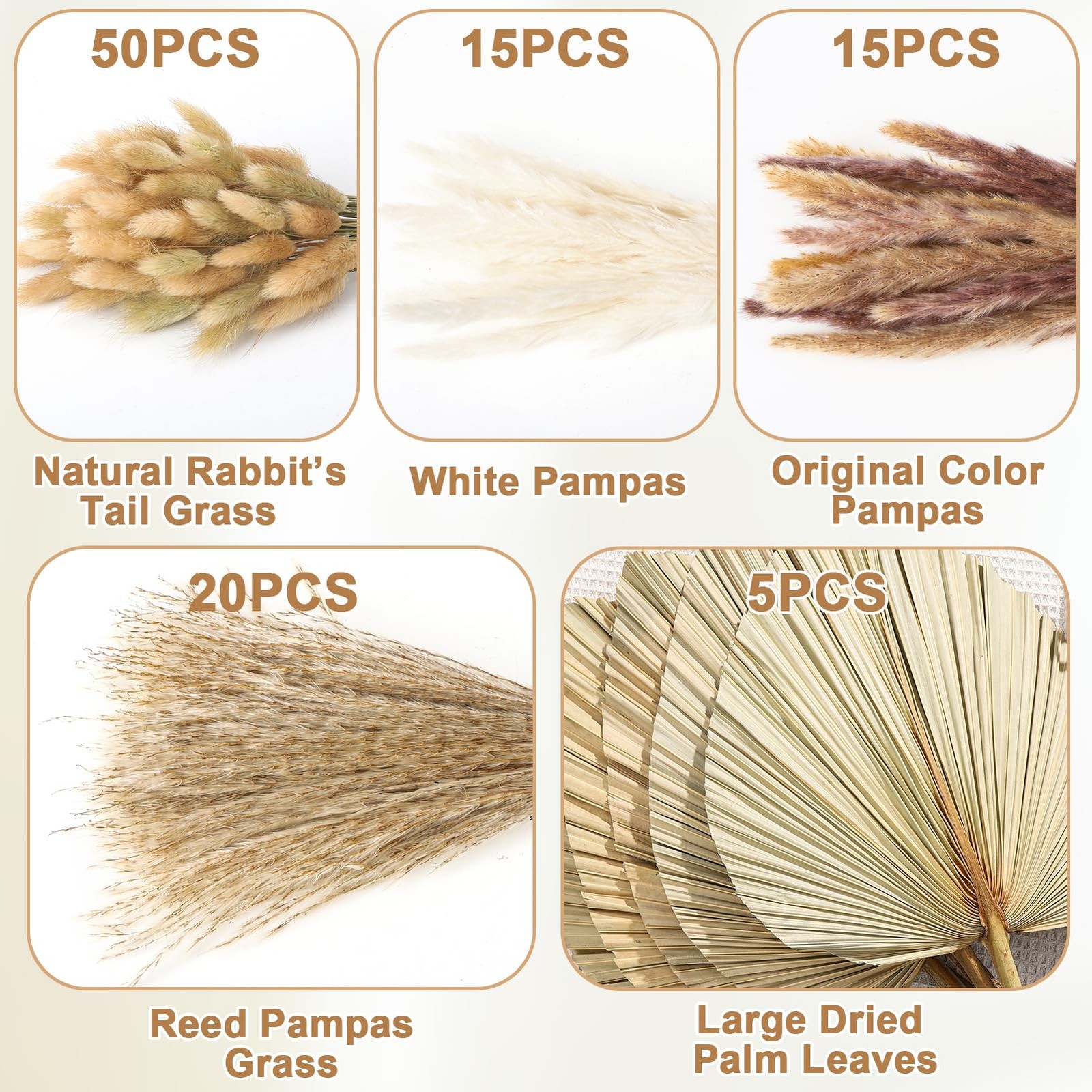 Dried Pampas Grass 105pc Natural Palm Leaves Bunny Tails Wedding Boho Decor
