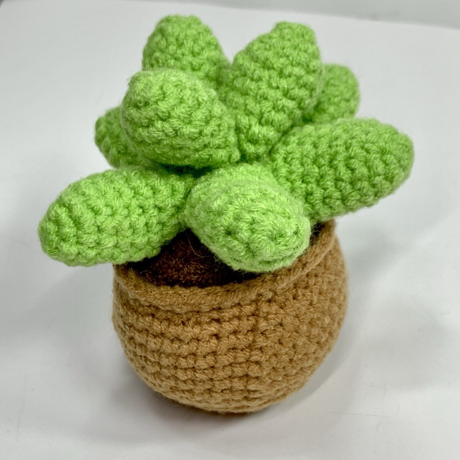 Small Novelty Crochet Succulent Potted Plant Saying Life Would Succ Without You