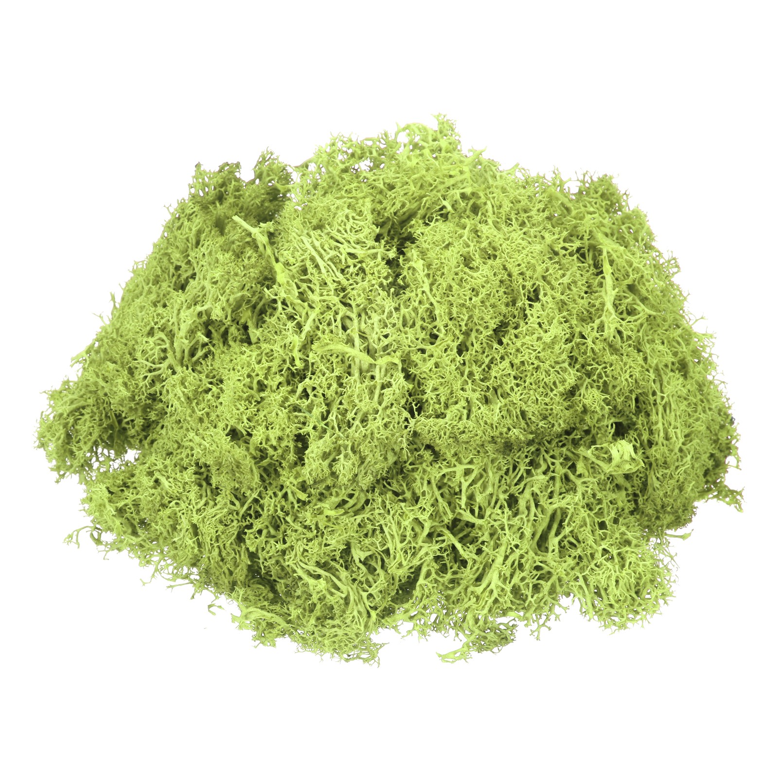 3oz Preserved Reindeer Moss Bright Green Decorative Artificial Fake Moss